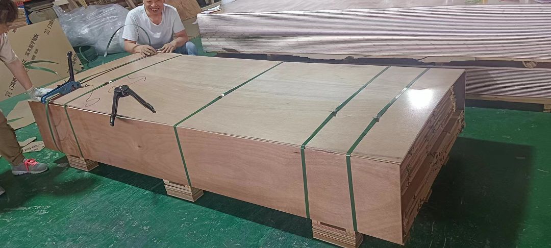 product-1080-486 product-1080-486